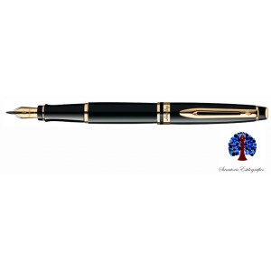 Waterman Expert Black Lacquer GT