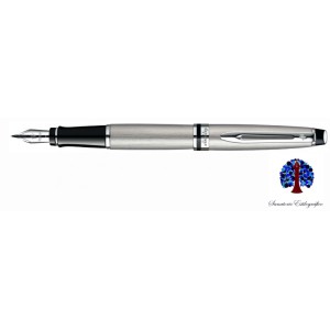 Waterman Expert Steel CT