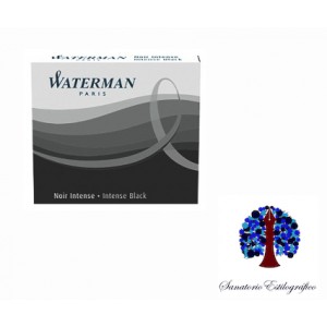 Waterman Cartuchos