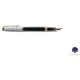 Waterman Reflections of Paris Exception Fountain Pen